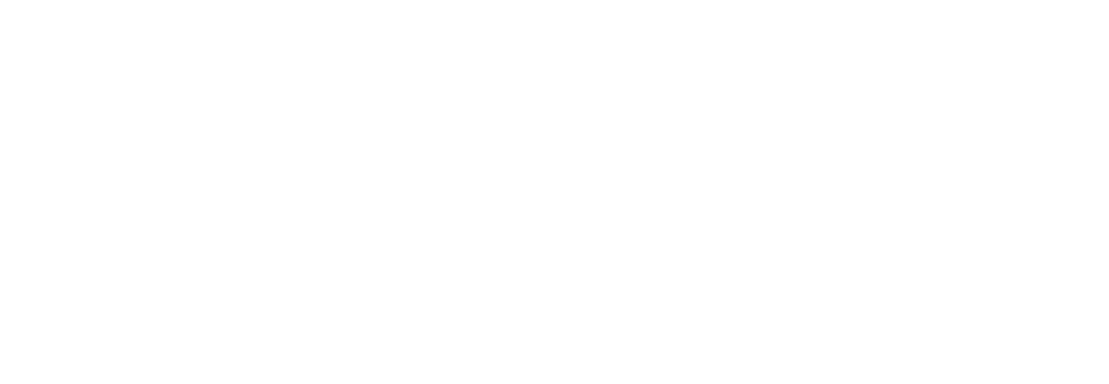 Dia Lanka Travels