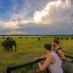 Kaudulla National Park: Exploring Sri Lanka’s Wildlife Sanctuary