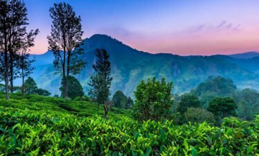 Package 03 - 01 Dia Lanka