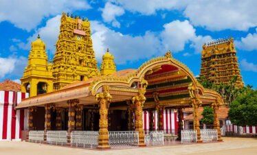 Package 06 - 01 Dia Lanka