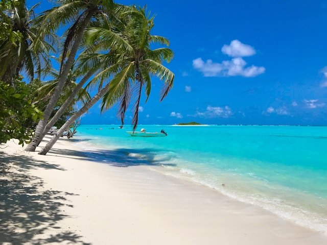 Beach & Wellness