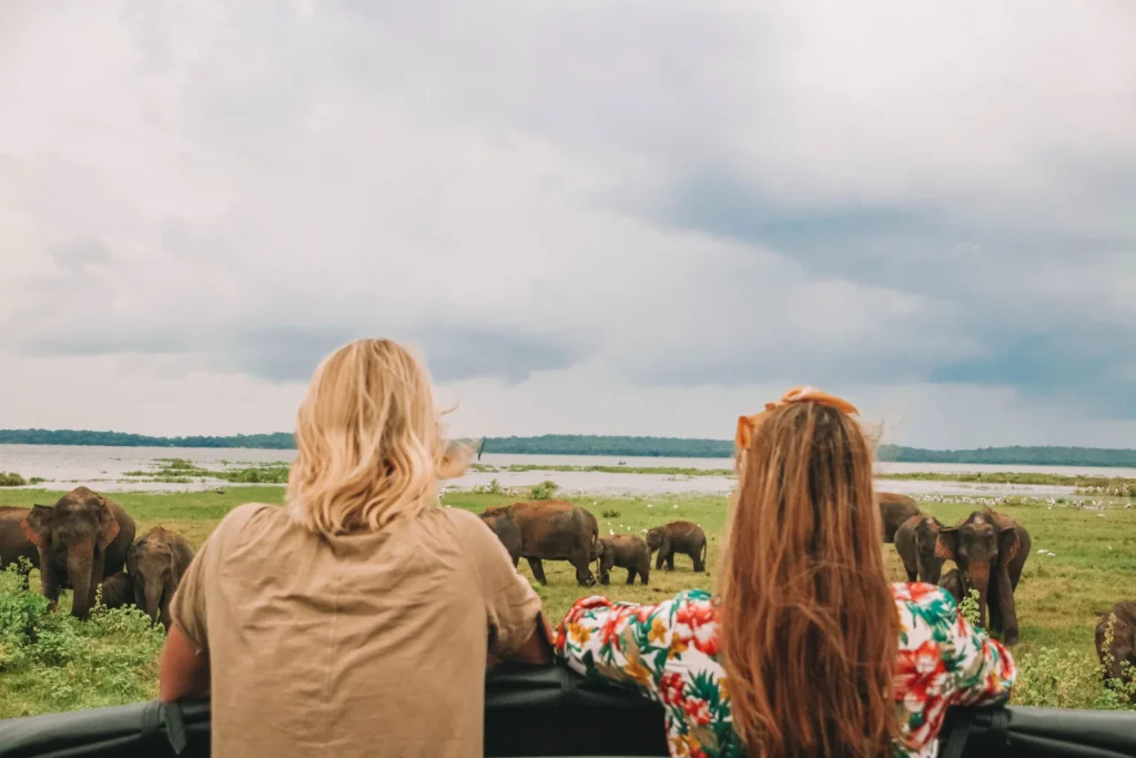 08 Days – Sri Lanka with Friends
